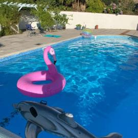Siblyback Cottage, hotel in Launceston