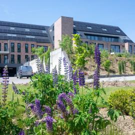 Flanders Cobblestone, Hotel in Brakel