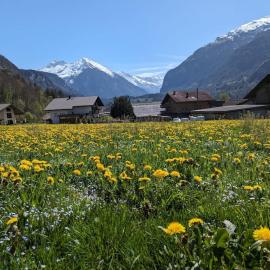 Family-friendly chalet apt with balcony, hotell sihtkohas Meiringen