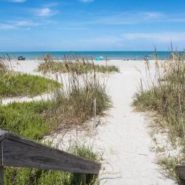 *Ocean Oasis: Beach Extras & Bikes & Surfboards*