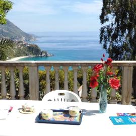 Villa del Capo