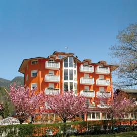 Nature Bio Hotel Elite, hotel em Levico Terme