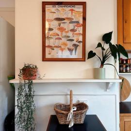 Enchanting Vintage House at South Hobart โรงแรมในโฮบาร์ต