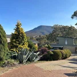 Mountains and Treetops Retreat - Nature Getaway