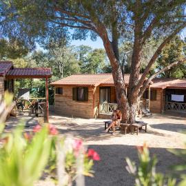 Feriendorf La Mora, hotel in Calvi
