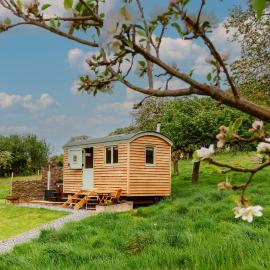 Bramley Hut Allerford, hotel in Bossington