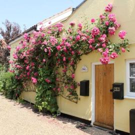 Pilot Cottage