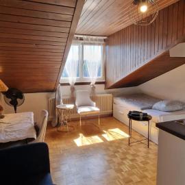 Urban Studio City, hotel v destinácii Fribourg