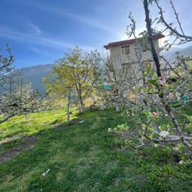 heavens retreat manali, ξενοδοχείο σε Manāli