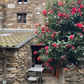 Come stay in our Little Nest, hotel in Brissago