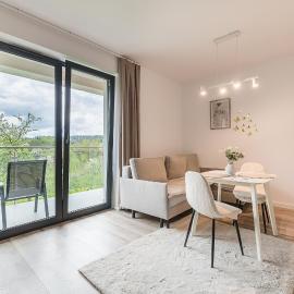 Apartament w Dolinie Sanu nr 2，萊斯科的飯店