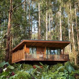 One&Only Gorilla's Nest, hotel u gradu Kinigi
