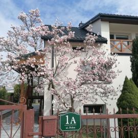 Magnolia, hotel i Sobolew
