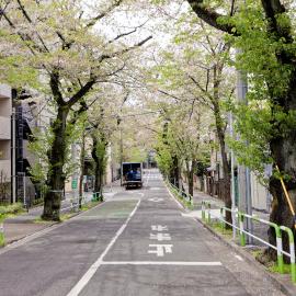 Viesnīca Tokyo Kitaku hotel Tokijā