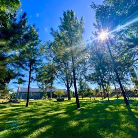 Summerfields & Gardens Lodge: Kitwe şehrinde bir otel