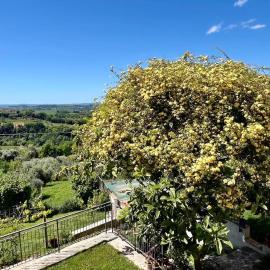 La Vista, hotel in Otricoli
