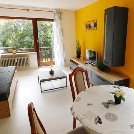 Fewo Sunneschii, Höchenschwand, Dorf am Himmel, Sauna im Haus