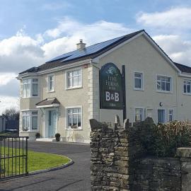 Five Ferns House