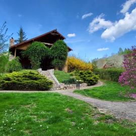 Cabana MIA Valisoara, hotel a Vălişoara
