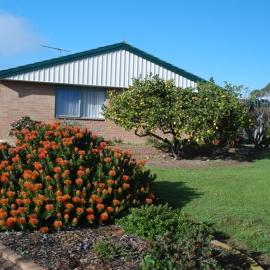Lemontree Cottage, hotel a Kingscote