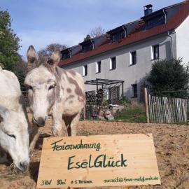 FeWo EselGlück Wälder Berge Seen Ruhe Naturidylle zw Bautzen Zittau Görlitz - Oberlausitz