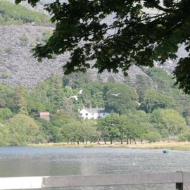 Padarn Apartment at Glanybala Holidays, hotel din Llanberis