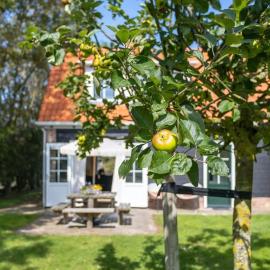 Het Kleine Huis at Buitenplaats Zeeuwse Liefde, Hotel in Westkapelle