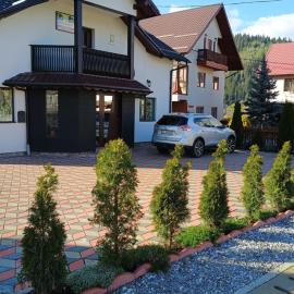 NICO-ȘTEF, Hotel in Vatra Dornei