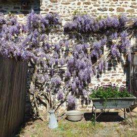 Fermette dans les pays de la Loire, hotel in Izé