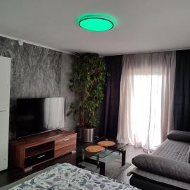 Ferienwohnung Rhein-Main II