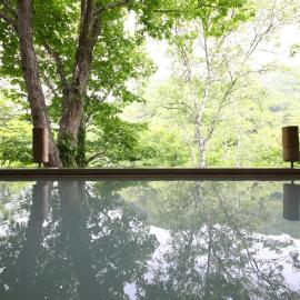 志賀高原 白い温泉 渓谷の湯, hotel in Yamanouchi