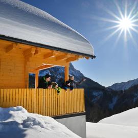 Cottage Osojnik - Alpine escape with Wellness, hotel v destinácii Solčava