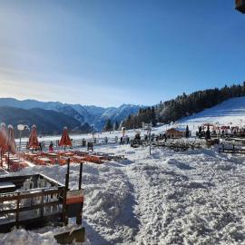 Les Isards Pied des pistes