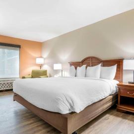 Econo Lodge Moss Point - Pascagoula, hotel em Moss Point