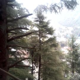Himalayan Mountain View, Triund Trekking Hostel, Hotel in Dharamshala