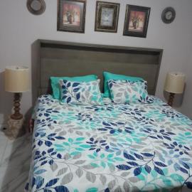 Shauna apartment, Hotel in Charlton