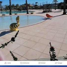Le Daniela Camping Les Sables du midi 4 etoiles، فندق في فالراس بلاج