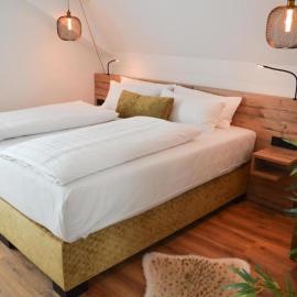 Gasthof zum Ritter - a cozy historical Landmark, Hotel in Ulm