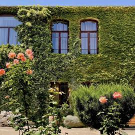 Guesthouse Edena, hotel em Ambrolauri