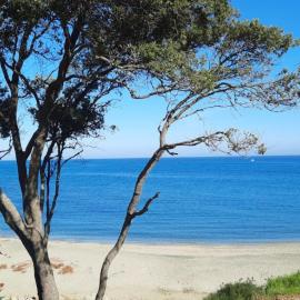 T3 vue mer direct plage clim N79