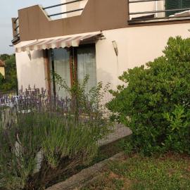 Apartment Lavinia