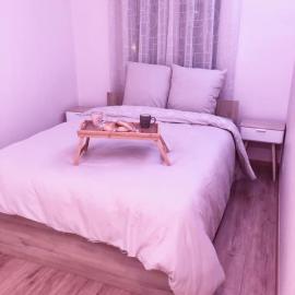Superbe Appartement tout équipé, Le nid d'Eva à Metz Gare, Parking privé, Balcon, F2, 50m2, 3p, hotel in Metz