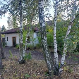 Apartment GNUBBEL am Wald, hotel Weißwasserben