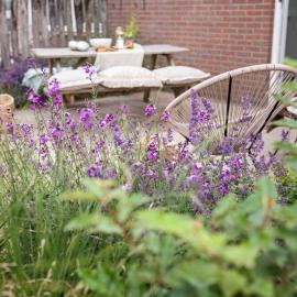 Vakantiehuisje Bloem 4 personen, hotel i Stolpen