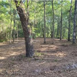 Fanning and Manatee Springs Exclusive Primitive Campground, hotel in Chiefland