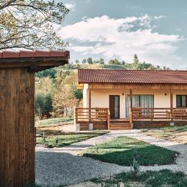 Transylvania Forest Haven-Luxury Tiny Cabin, hotel in Filia