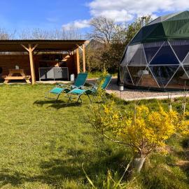 Geodesic Dome Glamping, hotel in Llanidloes
