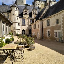 Le logis Bodard Appartement centre ville dans un hôtel particulier XIVeme avec parking et locale vélo, viešbutis mieste Šinonas