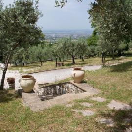 Casa Vacanze L'olivo al Borghettaccio