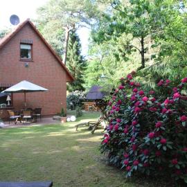 Ferienhaus am Waldesrand, Hotel in Hatten